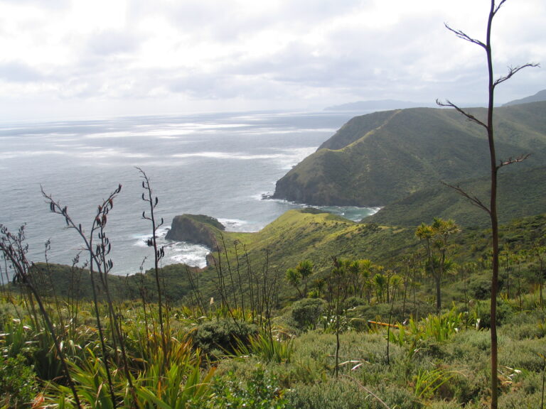 galeria